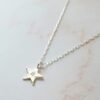 organic star necklace