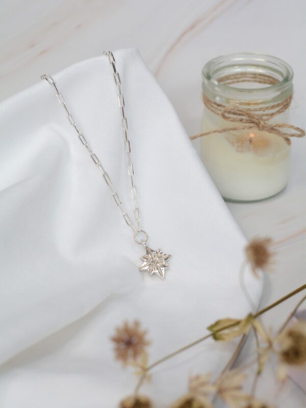 polaris maxi necklace