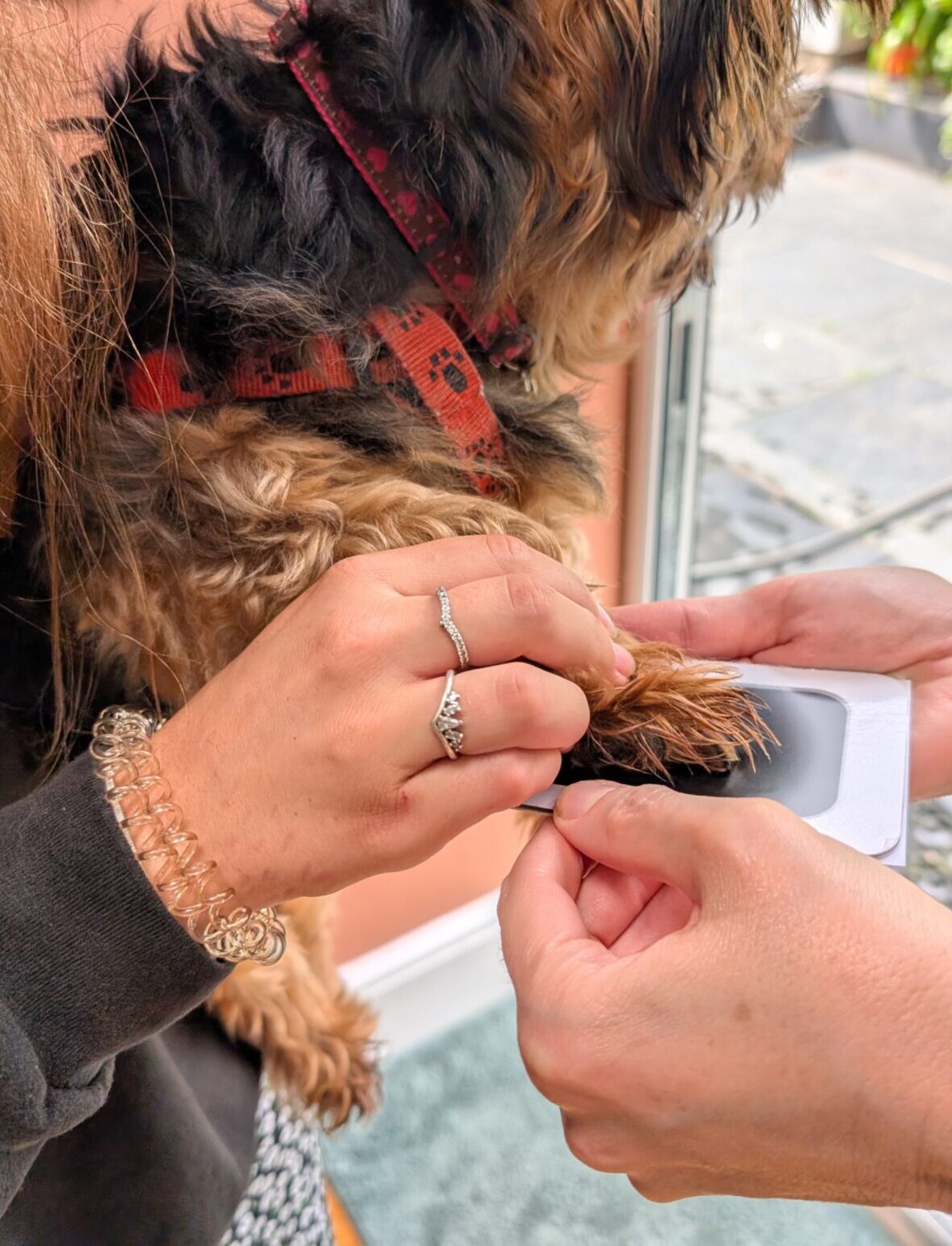 pawtograph necklace mooki pet dog cat paw print engraved necklace