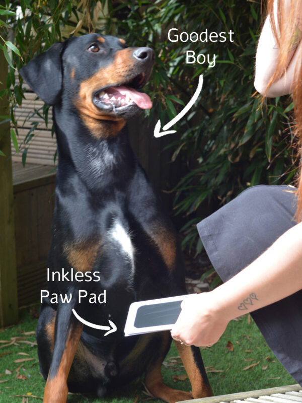 pawtograph necklace mooki pet dog cat paw print engraved necklace