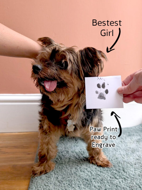 pawtograph necklace mooki pet dog cat paw print engraved necklace