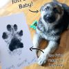 pawtograph trace necklace pet paw print engraved personalised dog cat animal sentimental memorial logo recycled sterling silver unique handmade mooki jewellery