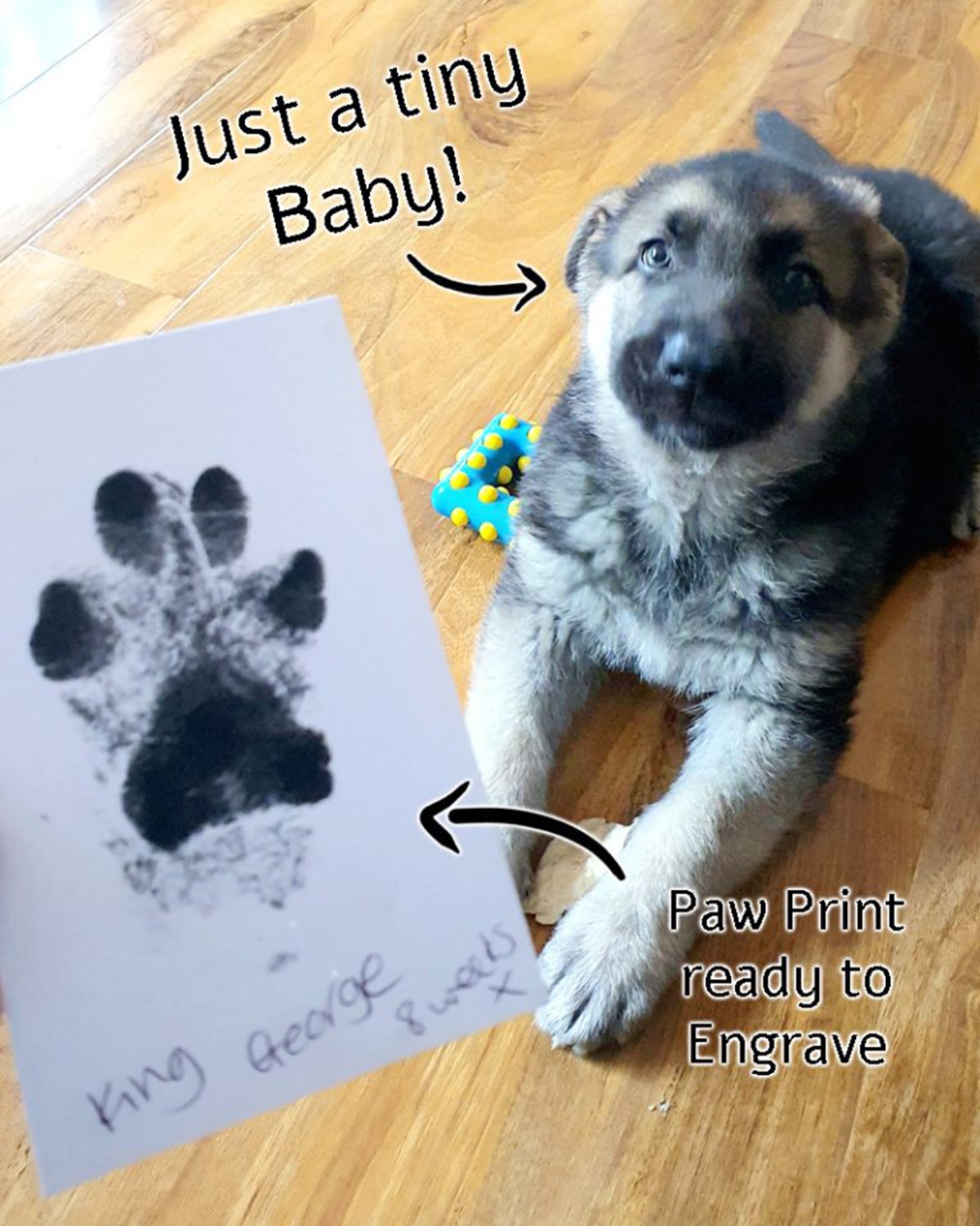 pawtograph trace necklace pet paw print engraved personalised dog cat animal sentimental memorial logo recycled sterling silver unique handmade mooki jewellery
