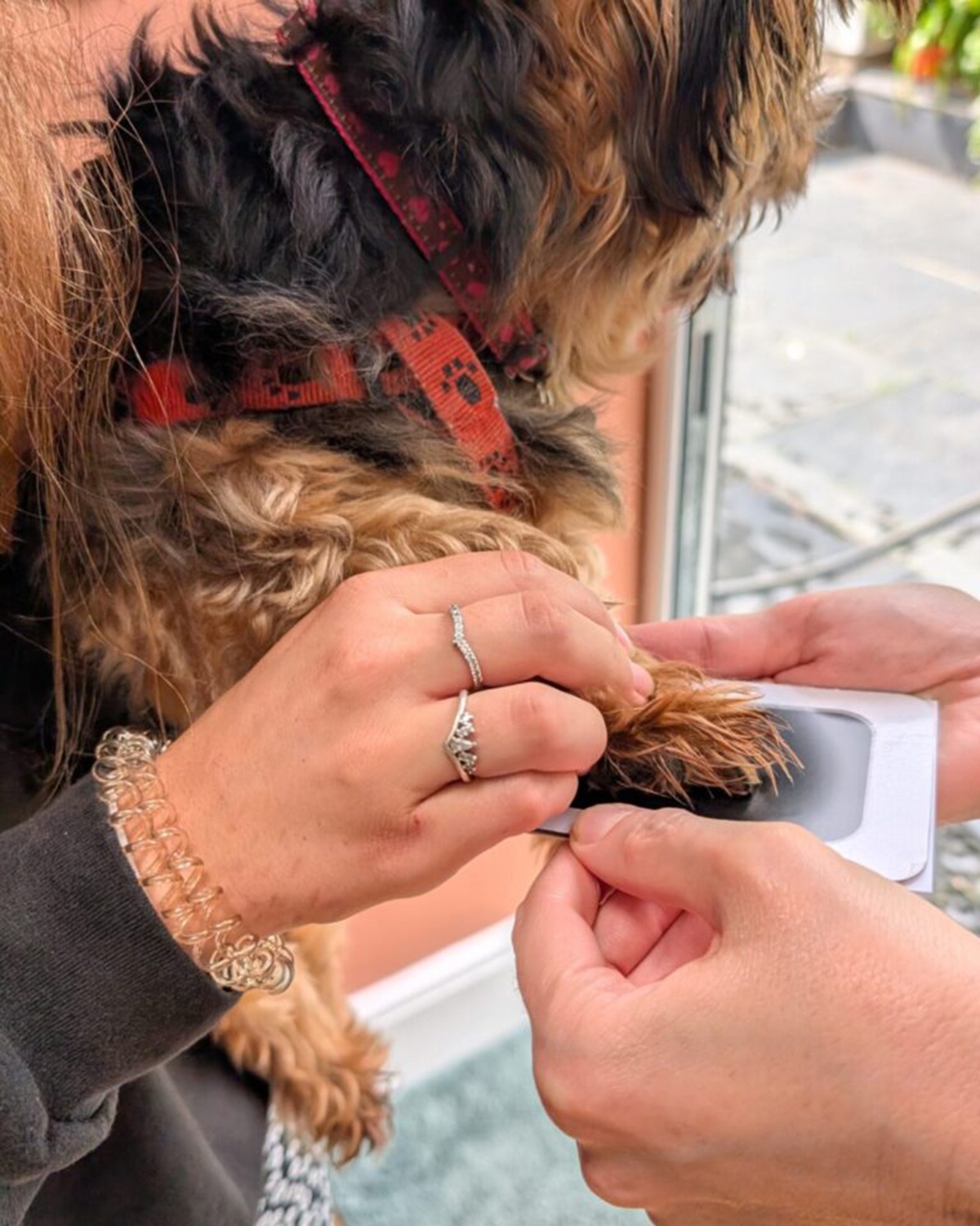 pawtograph trace necklace pet paw print engraved personalised dog cat animal sentimental memorial logo recycled sterling silver unique handmade mooki jewellery